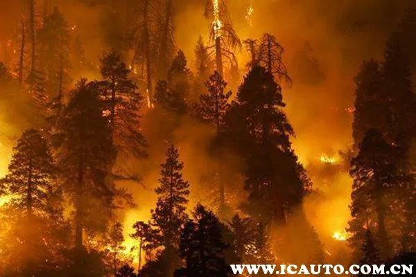 今天四川火灾新闻最新消息，四川火灾失火原因查明了？