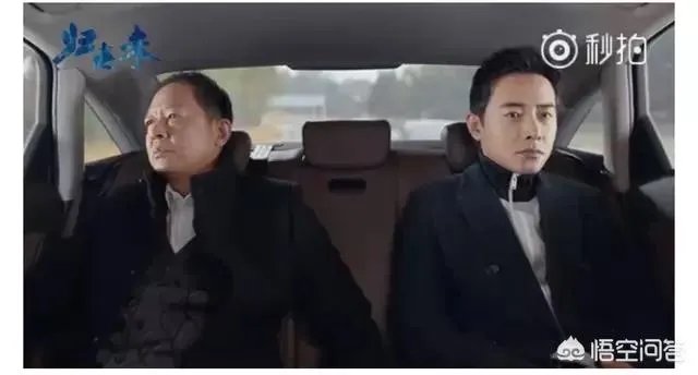 你怎么看电视剧《归去来》中王志文扮演的书望？