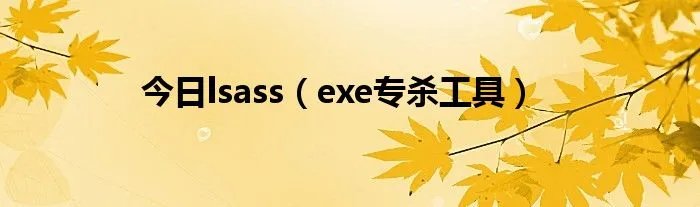 今日lsass(exe专杀工具)