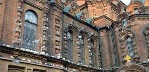 哈尔滨有哪些免费的景点？