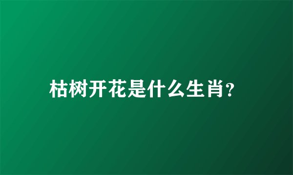 枯树开花是什么生肖？