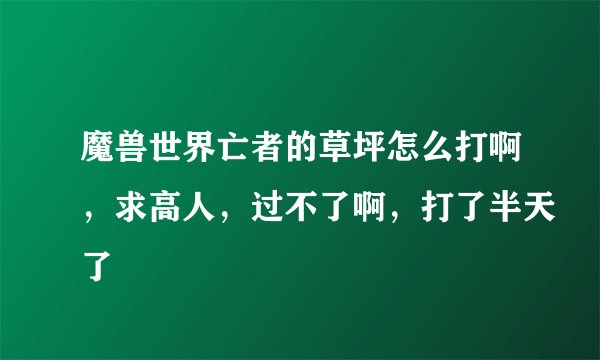 魔兽世界亡者的草坪怎么打啊，求高人，过不了啊，打了半天了