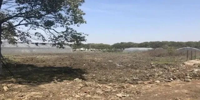 顶格处理是什么意思