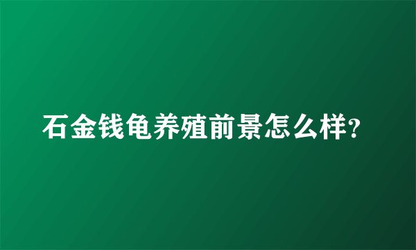 石金钱龟养殖前景怎么样？