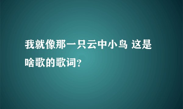 我就像那一只云中小鸟 这是啥歌的歌词？
