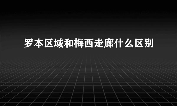 罗本区域和梅西走廊什么区别