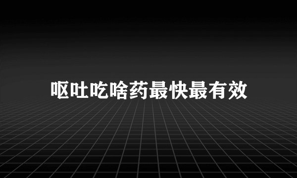 呕吐吃啥药最快最有效