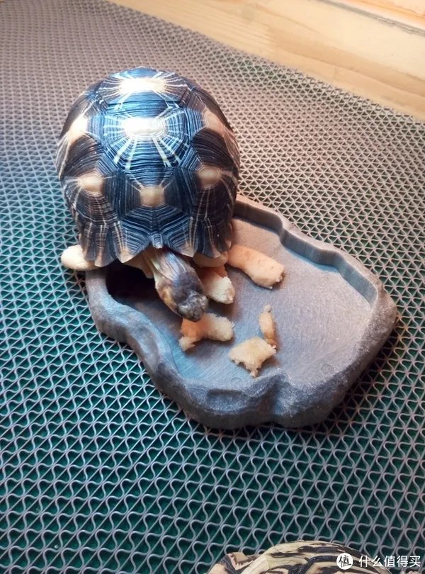 九阳原汁机质量怎么样