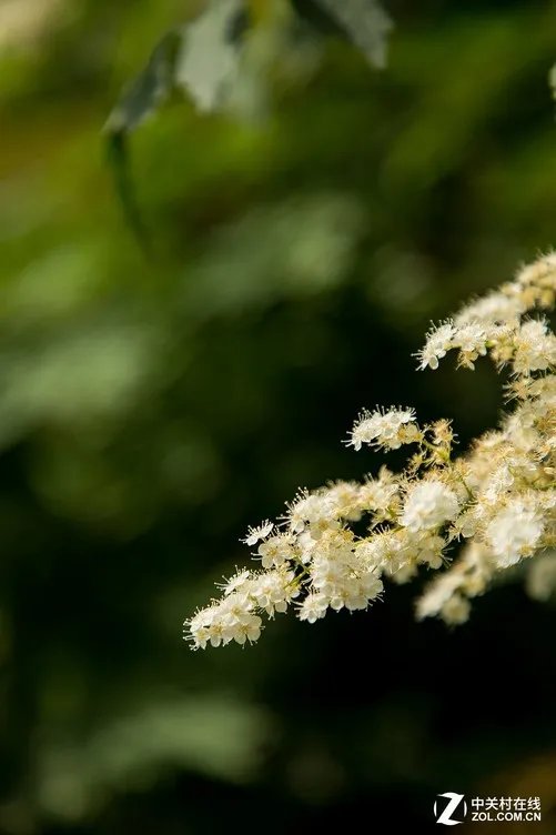 拍太多没精力 旅行照片到底该不该后期