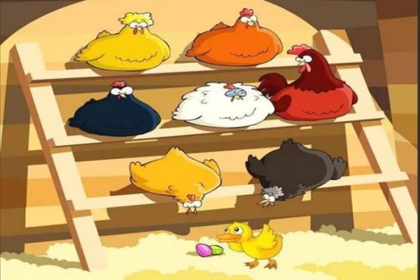 赶鸭子上架的意思是什么？