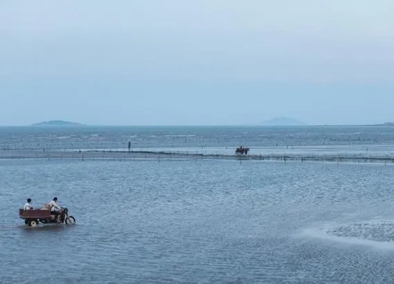 拉尼娜现象对秘鲁渔场的影响 拉尼娜会导致秘鲁渔场产量如何