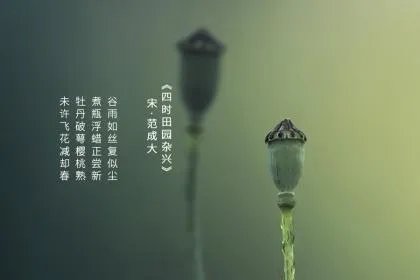 2020年谷雨前一天是什么日子?日子时辰吉凶?