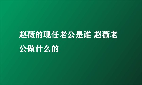 赵薇的现任老公是谁 赵薇老公做什么的