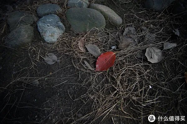 美能达镜头怎么样