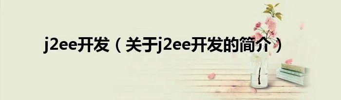 j2ee开发（关于j2ee开发的简介）