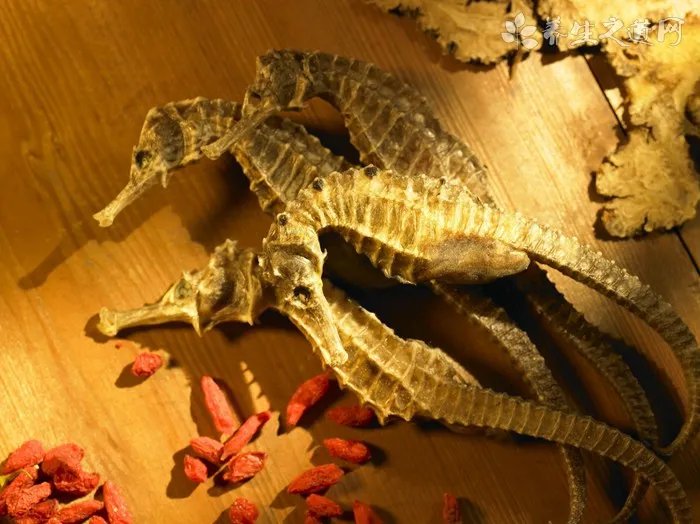 马棘的药用价值_马棘的副作用