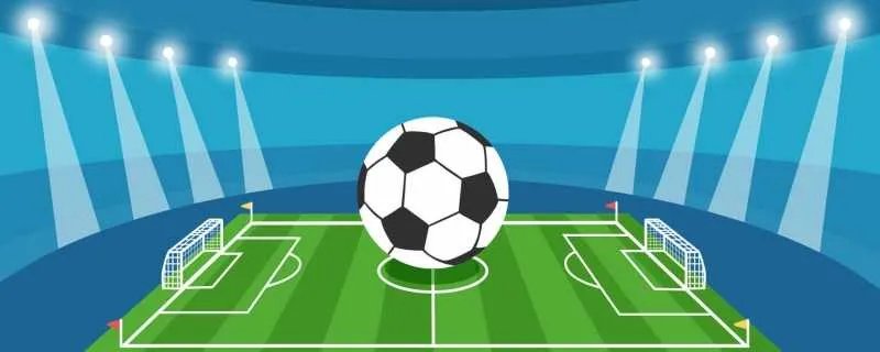 巴西世界杯冠军是哪一年