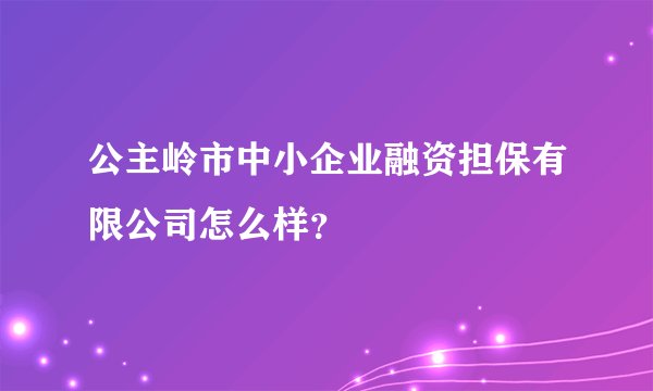 公主岭市中小企业融资担保有限公司怎么样？