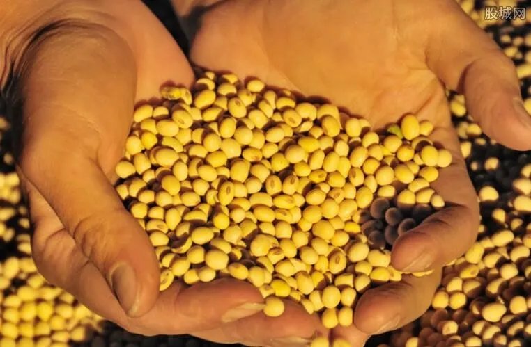 大豆期货行情走势图 大豆价格最新行情走势预测