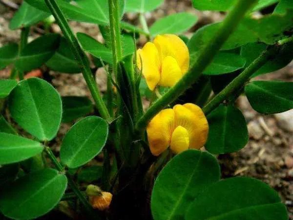 2360等于多少万？