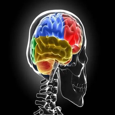 脑囊虫怎么诊断出来的