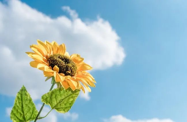 安慰心情不好的句子 心情不好怎么哄她开心句子