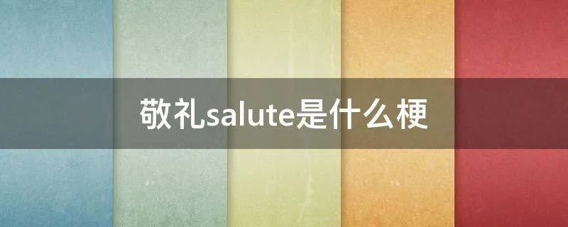 敬礼salute是什么梗