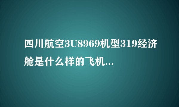 四川航空3U8969机型319经济舱是什么样的飞机有保障吗？