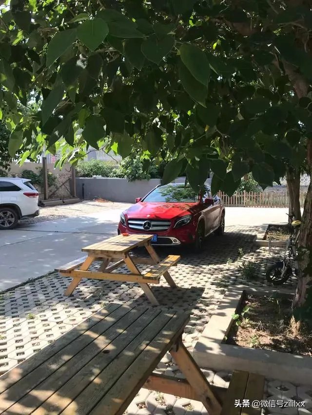 打算去山东长岛玩,有哪些经济实惠的渔家乐可推荐的?