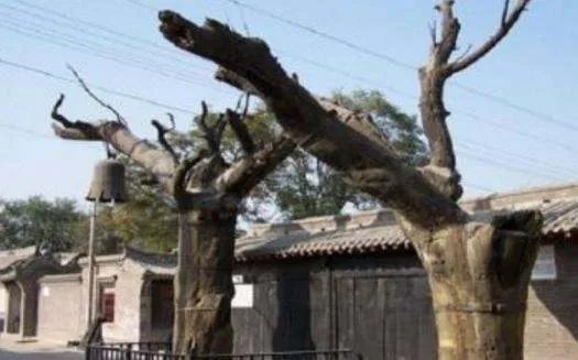 保定景区，十大排名是怎样得？