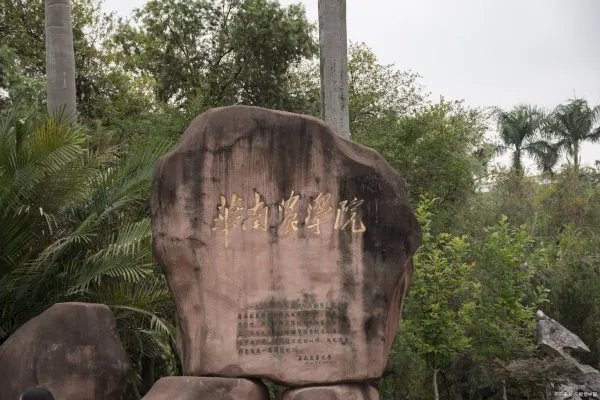 华南农业大学录取分数线2022