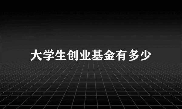 大学生创业基金有多少
