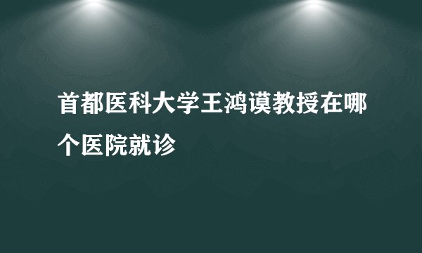 首都医科大学王鸿谟教授在哪个医院就诊