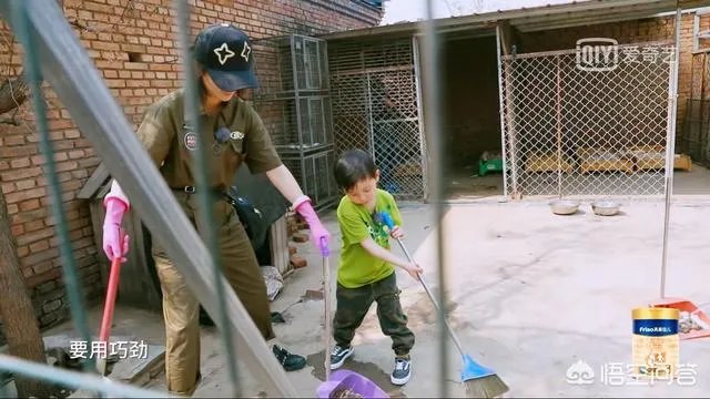 邓莎家的大麟子你们喜欢吗？