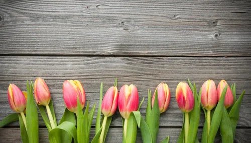 阿斯利康携手微医集团打造一体化健康管理服务