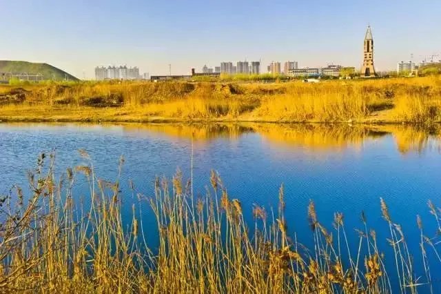 石家庄有哪些城市文化名片?