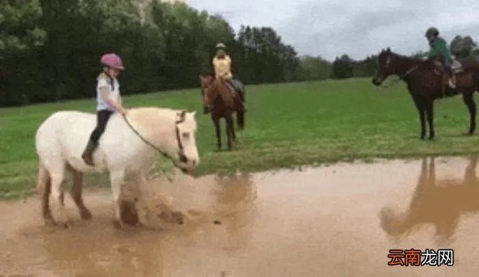 史上超级爆笑动态图 搞笑图片笑死人动态