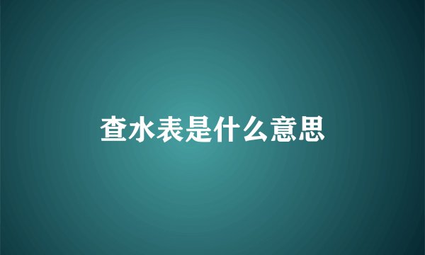 查水表是什么意思