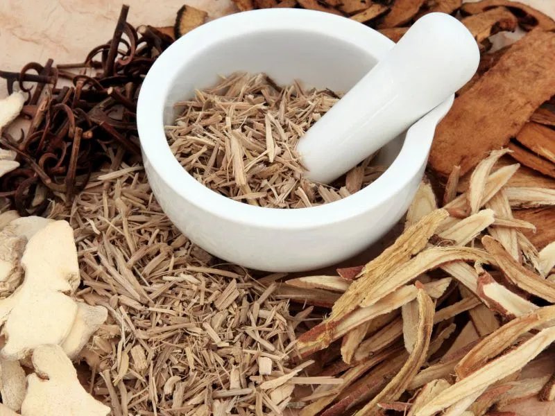 鹿茸功效有哪些