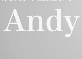 andy什么意思