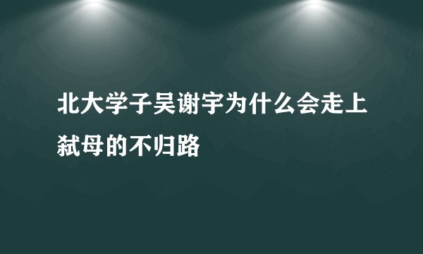 北大学子吴谢宇为什么会走上弑母的不归路