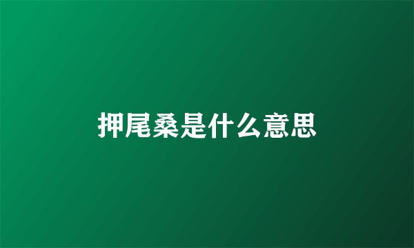 押尾桑是什么意思