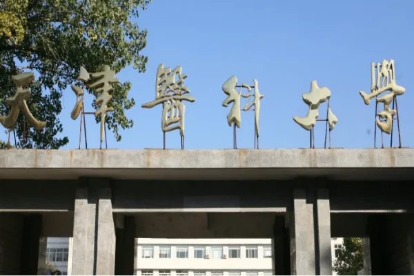 天津的大学排名