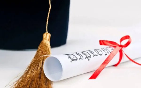 bachelor degree 和 diploma 什么意思