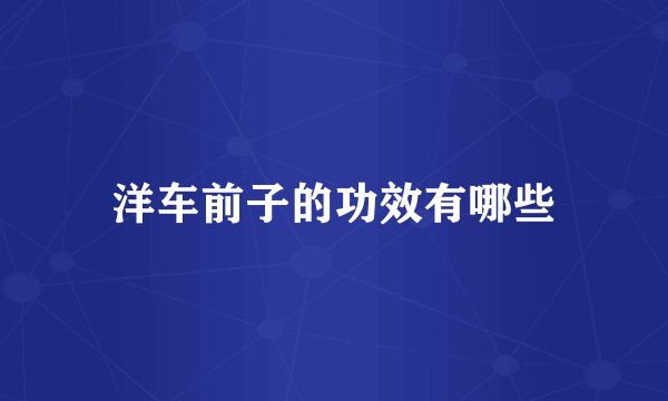 洋车前子的功效有哪些