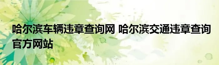 哈尔滨车辆违章查询网 哈尔滨交通违章查询官方网站