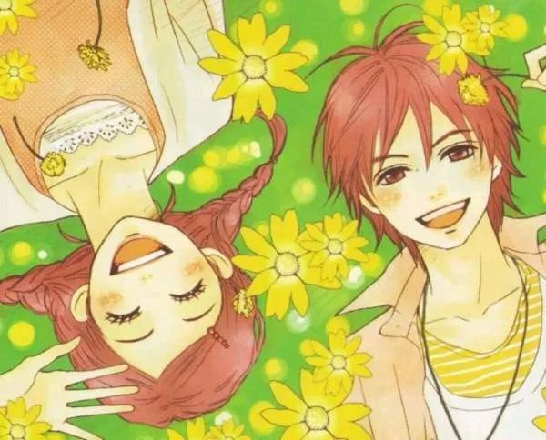 情结是什么意思？