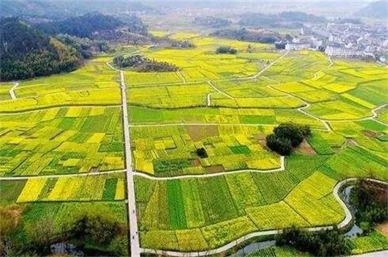 浙江省仙居县属于哪个市