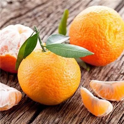 扁桃体发炎吃什么食物消炎