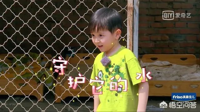 邓莎家的大麟子你们喜欢吗？